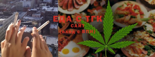 крисы Бородино
