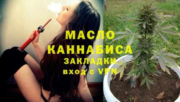 крисы Бородино
