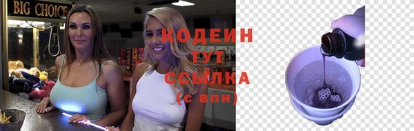 крисы Бородино