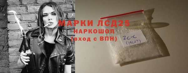 крисы Бородино