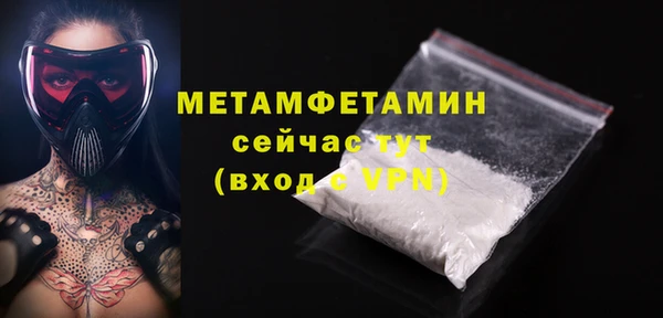крисы Бородино