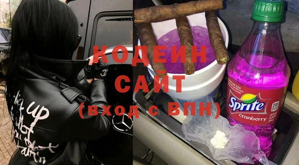 крисы Бородино