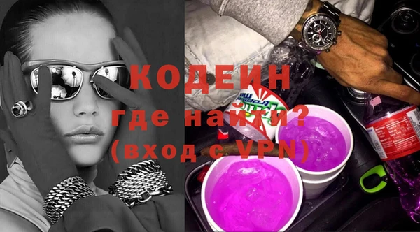 крисы Бородино