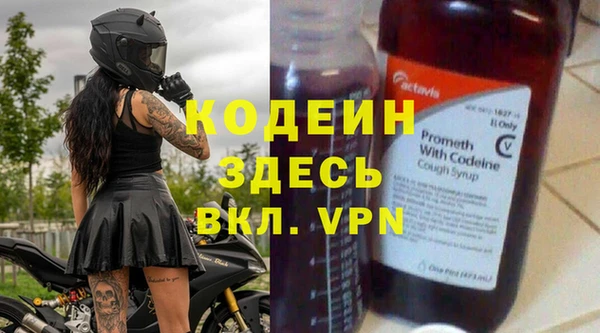 крисы Бородино