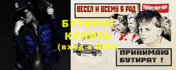 крисы Бородино