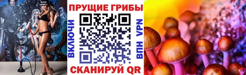 купить наркоту  Челябинск  кракен сайт  Псилоцибиновые грибы прущие грибы 